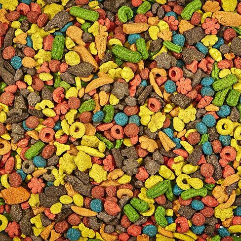 Kaytee Exact Rainbow Large Pet Parrot Food, 20 Pound in Saudi Arabia