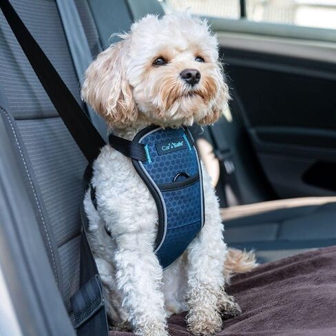 CarSafe Crash Tested Dog Safety Harness | Size L in Kuwait