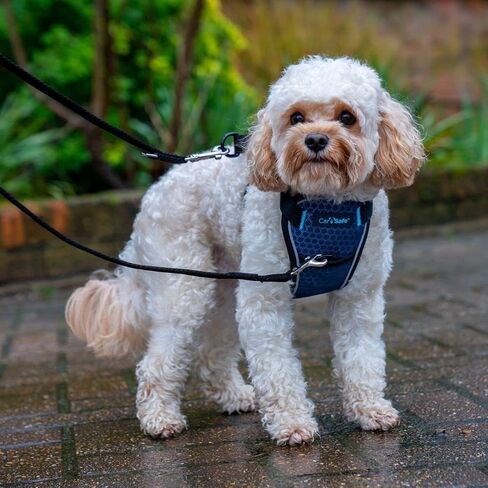 CarSafe Crash Tested Dog Safety Harness | Size L in Kuwait