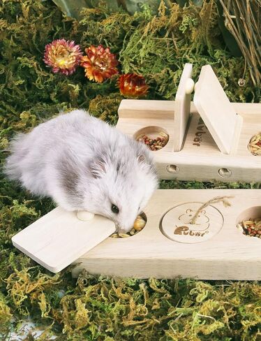 Rubor Guinea Pig Foraging Toys, Hamster Wooden Enrichment Foraging Toy, Rabbit Interactive Hide Treats Puzzle Snuffle Game, Mental Treat Dispenser for Hamster, Guinea Pig, Bunny, Chinchilla in Saudi Arabia