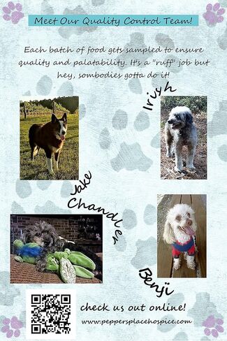 Senior Dehydrated Raw Base Mix Dog Food in Kuwait