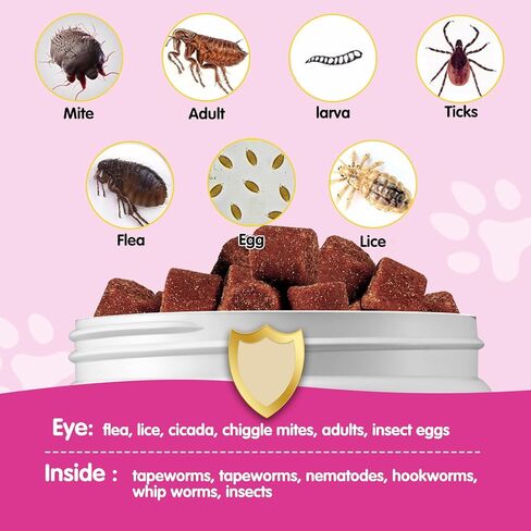 الوقاية من البراغيث والقراد للكلاب، علاجات البراغيث والقراد القابلة للمضغ، 120 قطعة من مكملات التحكم في البراغيث والقراد للكلاب، مضغ البراغيث والقراد للكلاب، حبوب البرغوث الفموية للكلاب (نكهة الدجاج) in Kuwait