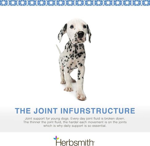 لزوجة الكلاب الصغيرة من هيربسميث - دعم المفاصل الطبيعي 4 في 1 للكلاب - مضغ العناية بمفاصل الكلاب مع الجلوكوزامين وحمض الهيالورونيك والكوندرويتين وMSM - فيتامينات للكلاب للورك والمفاصل - 30 قطعة مضغ صغيرة in Kuwait