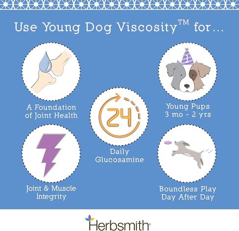 لزوجة الكلاب الصغيرة من هيربسميث - دعم المفاصل الطبيعي 4 في 1 للكلاب - مضغ العناية بمفاصل الكلاب مع الجلوكوزامين وحمض الهيالورونيك والكوندرويتين وMSM - فيتامينات للكلاب للورك والمفاصل - 30 قطعة مضغ صغيرة in Kuwait