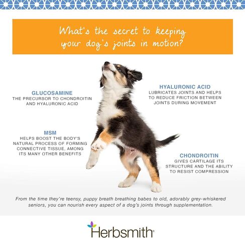 لزوجة الكلاب الصغيرة من هيربسميث - دعم المفاصل الطبيعي 4 في 1 للكلاب - مضغ العناية بمفاصل الكلاب مع الجلوكوزامين وحمض الهيالورونيك والكوندرويتين وMSM - فيتامينات للكلاب للورك والمفاصل - 30 قطعة مضغ صغيرة in Kuwait