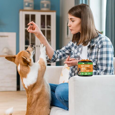 مكمل الورك والمفاصل للكلاب من DRHEMPY - علاجات القنب بنكهة لحم الخنزير المقدد للكلاب مع MSM والجلوكوزامين وزيت بذور القنب والمزيد لدعم الحركة وصحة الغضاريف - 120 مكملاً قابلاً للمضغ للكلاب in Saudi Arabia