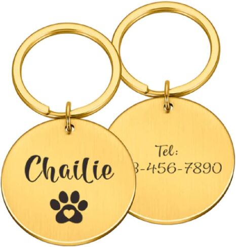 سخونة! علامات تعريف الحيوانات الأليفة المحفورة مجانًا، ملحقات مخصصة طوق كلب أليف، علامات اسم الكلاب الشخصية، علامات تعريف لمكافحة فقدان القط والكلب والجرو (S 20.00 × 20.00 مم، ذهبي) in Kuwait
