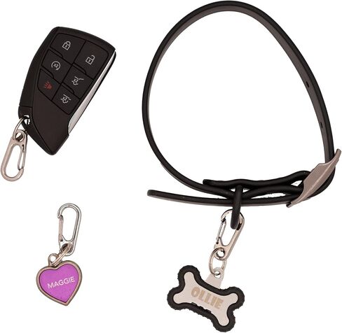 2-Pack Dog Tag Clip for Collars - Switch Dog Tags with Ease - Dog Tag Holder for Pet Collar - Heavy Duty Carabiner Quick Release Clip (Silver) in Kuwait