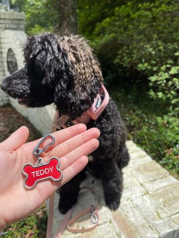 2-Pack Dog Tag Clip for Collars - Switch Dog Tags with Ease - Dog Tag Holder for Pet Collar - Heavy Duty Carabiner Quick Release Clip (Silver) in Kuwait