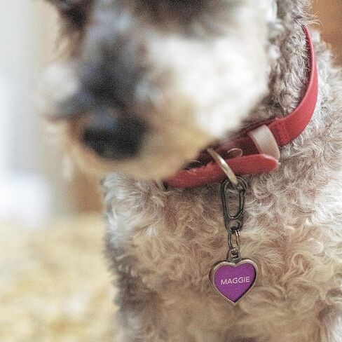 2-Pack Dog Tag Clip for Collars - Switch Dog Tags with Ease - Dog Tag Holder for Pet Collar - Heavy Duty Carabiner Quick Release Clip (Silver) in Kuwait