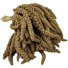 AA Plus Shop Spray Millet Treat Feed for Birds Parrots Parakeets and More 5lb, Yellow, 5 Pound (Pack of 1) in Saudi Arabia