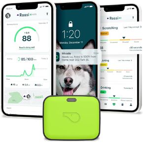 Whistle GPS + Health + Fitness - Ultimate Dog GPS Tracker Plus Dog Health & Fitness Monitor, Waterproof, Safe Place Escape Alerts, Built-in Night Light,Fits on Dog Collar, GO Explore, Magenta in Saudi Arabia