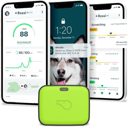 Whistle GO Explore GPS + Health + Fitness Dog Tracker Plus مراقب الصحة واللياقة البدنية، مقاوم للماء، تنبيهات الهروب من مكان آمن، ضوء مدمج، يناسب طوق الكلب، للكلاب التي يبلغ وزنها 25 رطلاً وما فوق، رمادي in Saudi Arabia