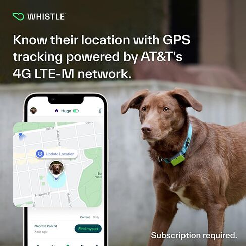 Whistle GO Explore GPS + Health + Fitness Dog Tracker Plus مراقب الصحة واللياقة البدنية، مقاوم للماء، تنبيهات الهروب من مكان آمن، ضوء مدمج، يناسب طوق الكلب، للكلاب التي يبلغ وزنها 25 رطلاً وما فوق، رمادي in Saudi Arabia
