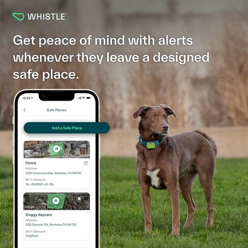 Whistle GO Explore GPS + Health + Fitness Dog Tracker Plus مراقب الصحة واللياقة البدنية، مقاوم للماء، تنبيهات الهروب من مكان آمن، ضوء مدمج، يناسب طوق الكلب، للكلاب التي يبلغ وزنها 25 رطلاً وما فوق، رمادي in Saudi Arabia