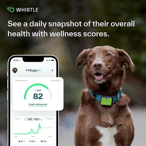 Whistle GO Explore GPS + Health + Fitness Dog Tracker Plus مراقب الصحة واللياقة البدنية، مقاوم للماء، تنبيهات الهروب من مكان آمن، ضوء مدمج، يناسب طوق الكلب، للكلاب التي يبلغ وزنها 25 رطلاً وما فوق، رمادي in Saudi Arabia