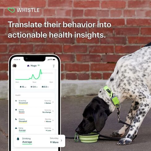 Whistle GO Explore GPS + Health + Fitness Dog Tracker Plus مراقب الصحة واللياقة البدنية، مقاوم للماء، تنبيهات الهروب من مكان آمن، ضوء مدمج، يناسب طوق الكلب، للكلاب التي يبلغ وزنها 25 رطلاً وما فوق، رمادي in Saudi Arabia