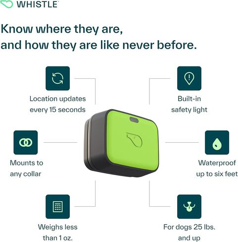 Whistle GO Explore GPS + Health + Fitness Dog Tracker Plus مراقب الصحة واللياقة البدنية، مقاوم للماء، تنبيهات الهروب من مكان آمن، ضوء مدمج، يناسب طوق الكلب، للكلاب التي يبلغ وزنها 25 رطلاً وما فوق، رمادي in Saudi Arabia