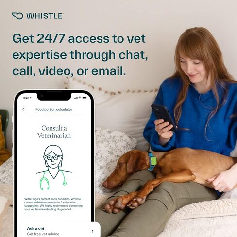 Whistle GO Explore GPS + Health + Fitness Dog Tracker Plus مراقب الصحة واللياقة البدنية، مقاوم للماء، تنبيهات الهروب من مكان آمن، ضوء مدمج، يناسب طوق الكلب، للكلاب التي يبلغ وزنها 25 رطلاً وما فوق، رمادي in Saudi Arabia