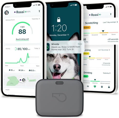 Whistle GO Explore GPS + Health + Fitness Dog Tracker Plus مراقب الصحة واللياقة البدنية، مقاوم للماء، تنبيهات الهروب من مكان آمن، ضوء مدمج، يناسب طوق الكلب، للكلاب التي يبلغ وزنها 25 رطلاً وما فوق، رمادي in Kuwait