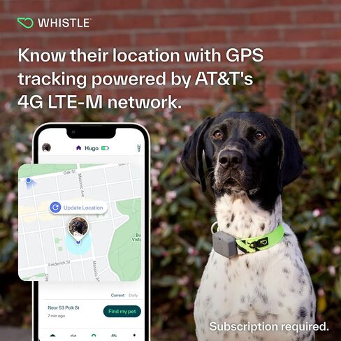 Whistle GO Explore GPS + Health + Fitness Dog Tracker Plus مراقب الصحة واللياقة البدنية، مقاوم للماء، تنبيهات الهروب من مكان آمن، ضوء مدمج، يناسب طوق الكلب، للكلاب التي يبلغ وزنها 25 رطلاً وما فوق، رمادي in Kuwait