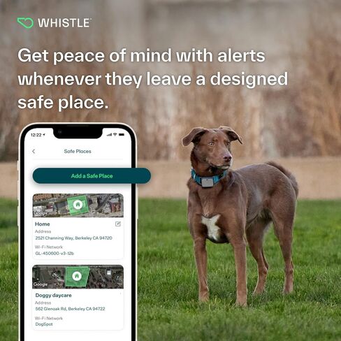 Whistle GO Explore GPS + Health + Fitness Dog Tracker Plus مراقب الصحة واللياقة البدنية، مقاوم للماء، تنبيهات الهروب من مكان آمن، ضوء مدمج، يناسب طوق الكلب، للكلاب التي يبلغ وزنها 25 رطلاً وما فوق، رمادي in Kuwait
