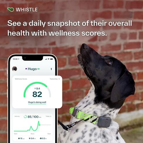 Whistle GO Explore GPS + Health + Fitness Dog Tracker Plus مراقب الصحة واللياقة البدنية، مقاوم للماء، تنبيهات الهروب من مكان آمن، ضوء مدمج، يناسب طوق الكلب، للكلاب التي يبلغ وزنها 25 رطلاً وما فوق، رمادي in Kuwait