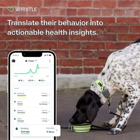 Whistle GO Explore GPS + Health + Fitness Dog Tracker Plus مراقب الصحة واللياقة البدنية، مقاوم للماء، تنبيهات الهروب من مكان آمن، ضوء مدمج، يناسب طوق الكلب، للكلاب التي يبلغ وزنها 25 رطلاً وما فوق، رمادي in Kuwait