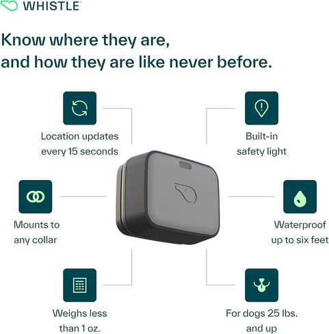 Whistle GO Explore GPS + Health + Fitness Dog Tracker Plus مراقب الصحة واللياقة البدنية، مقاوم للماء، تنبيهات الهروب من مكان آمن، ضوء مدمج، يناسب طوق الكلب، للكلاب التي يبلغ وزنها 25 رطلاً وما فوق، رمادي in Kuwait