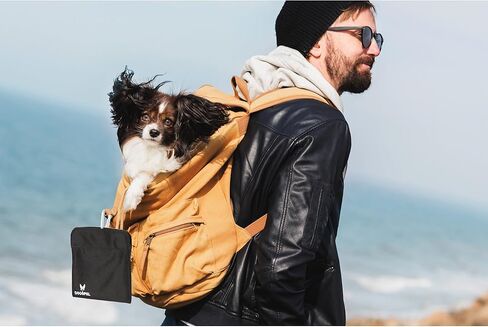 حقيبة مكافآت الكلاب من دوجوبال - أكياس مكافآت لتدريب الحيوانات الأليفة - ملحقات مشي الكلاب والسفر - سهولة الوصول بيد واحدة إلى المكافآت من الحقيبة (أسود، صغير) in Kuwait