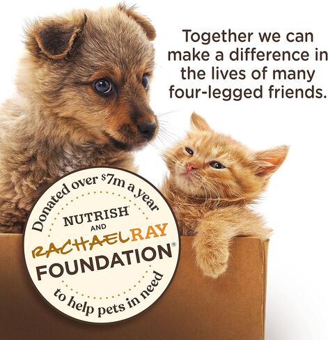 مكافآت القطط الناعمة من راشيل راي، سمك السلمون، 5.7 أونصة (عبوة من 6 قطع) in Kuwait