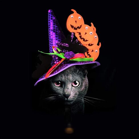 Halloween Pet Hat Adjustable Witch Hats for Cats Dogs Cute Pumpkin Purple Headwear Cosplay Costumes Adjustable Hat for Small and Medium Pets Halloween Funny Head Accessories in Saudi Arabia