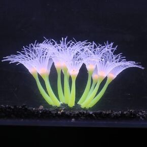 Glow-in-the-Dark Silicone Aquarium Flower (Purple, Sunflower) in Saudi Arabia