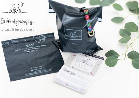 مجموعة مقود الكلاب Lucky Love وياقة مارتينجال، إكسسوارات لطيفة على شكل فراولة للكلاب الصغيرة (توت حلو، صغير). مقود بنمط حيوي وياقة ممتازة مضادة للانزلاق، مثالية للكلاب السلوقية والكلاب السلوقية والمزيد in Kuwait