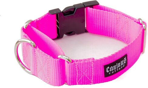 2 Inch Martingale w/ Buckle Dog Collars - Heavy Duty Nylon ( 2" Width Dog Collars (Black, Small) in Saudi Arabia