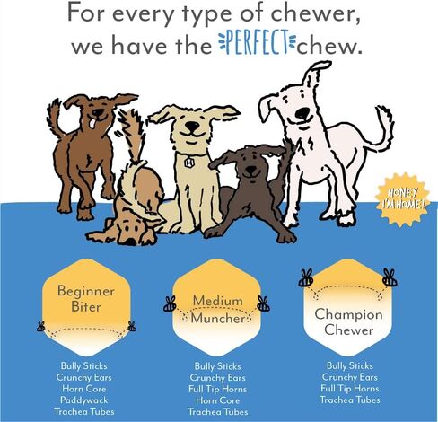 Honey I'm Home, Bully Sticks Buffalo Dog Chews، 6 بوصات، 5 قطع - طبيعية بالكامل، مجموعة مجانية، صحية، خالية من الحبوب، مغطاة بالعسل ومقرمشة in Kuwait