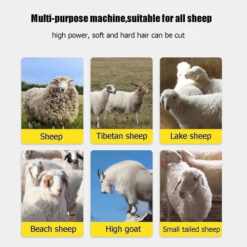 GagalU 900W Electric Shearing Clippers, Sheep Shears Clipper Flexible Shaft,Wool Scissor for Goats,for Shaving Fur Wool in Sheep in Saudi Arabia