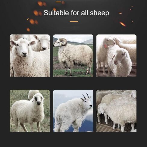 500W Cordless Sheep Shears Pro,Electric Sheep Shearing Clippers with Two Batteries,Rechargeable, Wireless,for Shaving Fur Wool in Sheep, Goats, Cattle, Farm Livestock Pet in Saudi Arabia