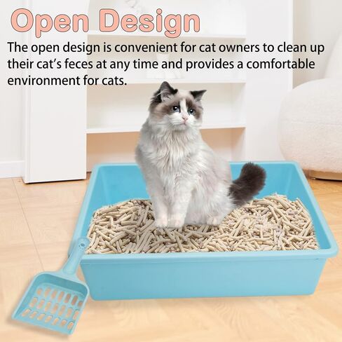 kathson 3 Pcs Open Cat Litter Box with Scoops Plastic Kitty Litter Pan Medium Cat Litter Tray Durable Nonstick Cat Toilet for Kitty Puppy Bunny and Other Small Animals 15 X 11 X 4 Inches in Saudi Arabia