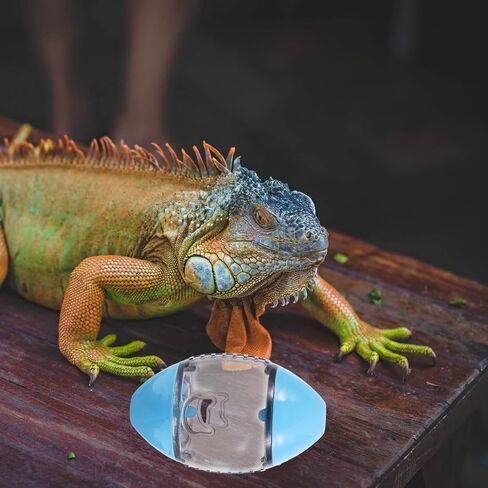 POPETPOP Pet Food Dispenser Bearded Dragon Toys - Lizard Feeder Toy Reptile Enrichment Toy Reptile Food Toys Ball Bearded Dragon Feeding Toy Interactive Toys for Lizard Gecko, Random Color in Saudi Arabia