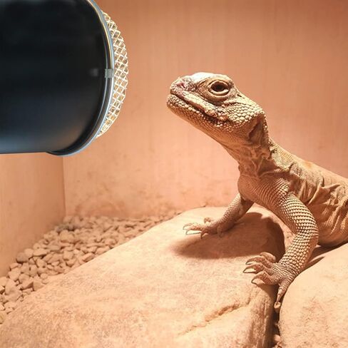NUOBESTY Reptile Heat Lamp Cover Reptile Anti- Scald Lampshade Reptile Box Insulation Lamp Shade in Saudi Arabia