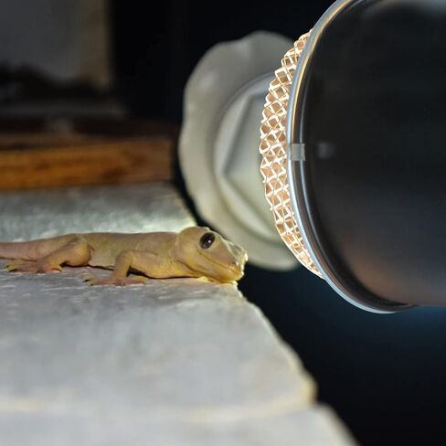 NUOBESTY Reptile Heat Lamp Cover Reptile Anti- Scald Lampshade Reptile Box Insulation Lamp Shade in Saudi Arabia