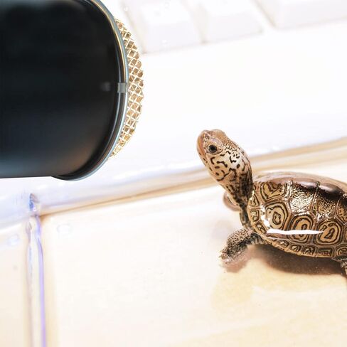NUOBESTY Reptile Heat Lamp Cover Reptile Anti- Scald Lampshade Reptile Box Insulation Lamp Shade in Saudi Arabia
