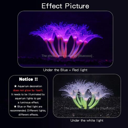 Glow-in-the-Dark Silicone Aquarium Flower (Purple, Sunflower) in Saudi Arabia