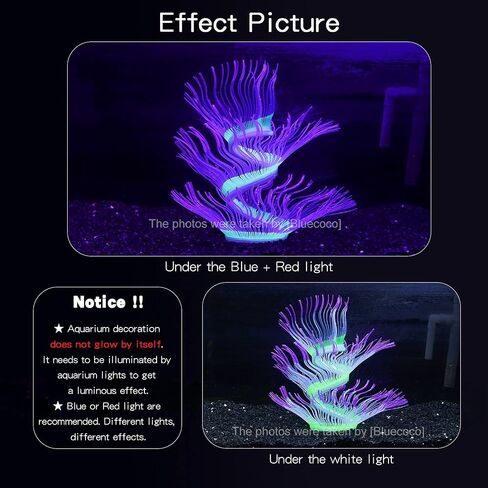 Soft Silica Gel Moves Naturally with Water Flow, Aquarium Decorations Glow in The Dark, Glowing Coral Ornaments for Fish Tank Decorations (Green, Anemone) in Saudi Arabia