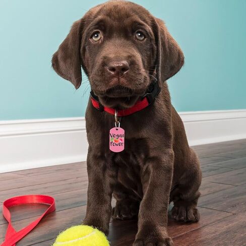 علامة معرف الحيوانات الأليفة للطاقة النباتية شخصية الفولاذ المقاوم للصدأ علامات الكلب مضحك مطبوعة طوق القط العلامات الملحقات in Kuwait