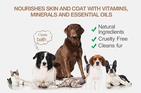Soos Pet Dog Shampoo and Conditioner for Cats and Pets Natural Dead Sea Minerals Two-in-One Deeply Absorbing with Essential Oils Natural Ingredients Vitamins Antifun-gle - 1x Pack (500ml) in Saudi Arabia