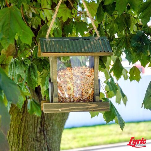 Lyric Delite Wild Bird Seed - No Waste Bird Food Mix with Shell-Free Nuts & Seeds - Attracts Buntings, Chickadees & Finches - 5 lb bag in Kuwait
