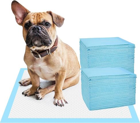 40 قطعة من وسائد تدريب الكلاب والجراء سميكة من 6 طبقات مانعة للتسرب للتحكم في الروائح الكريهة سريعة الجفاف للكلاب والقطط والحيوانات الاليفة الاخرى in Kuwait