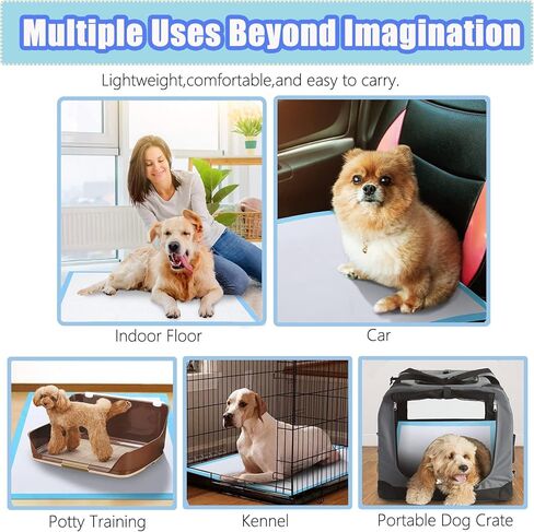 40 قطعة من وسائد تدريب الكلاب والجراء سميكة من 6 طبقات مانعة للتسرب للتحكم في الروائح الكريهة سريعة الجفاف للكلاب والقطط والحيوانات الاليفة الاخرى in Kuwait